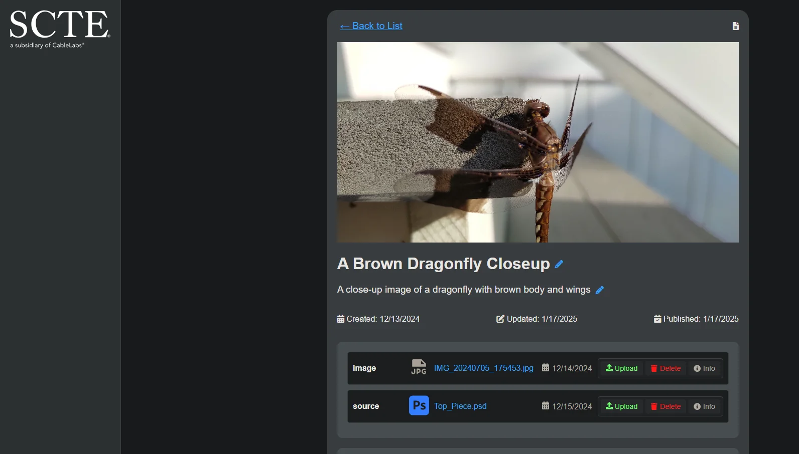 Images can be embedded with highlights, labels and zoom areas.
